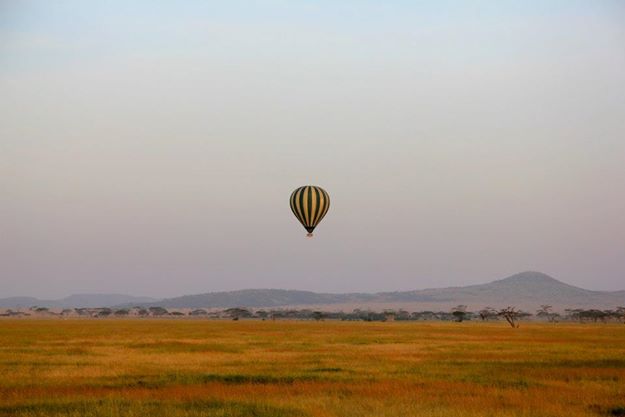 Inspiration :: A trip to the safari