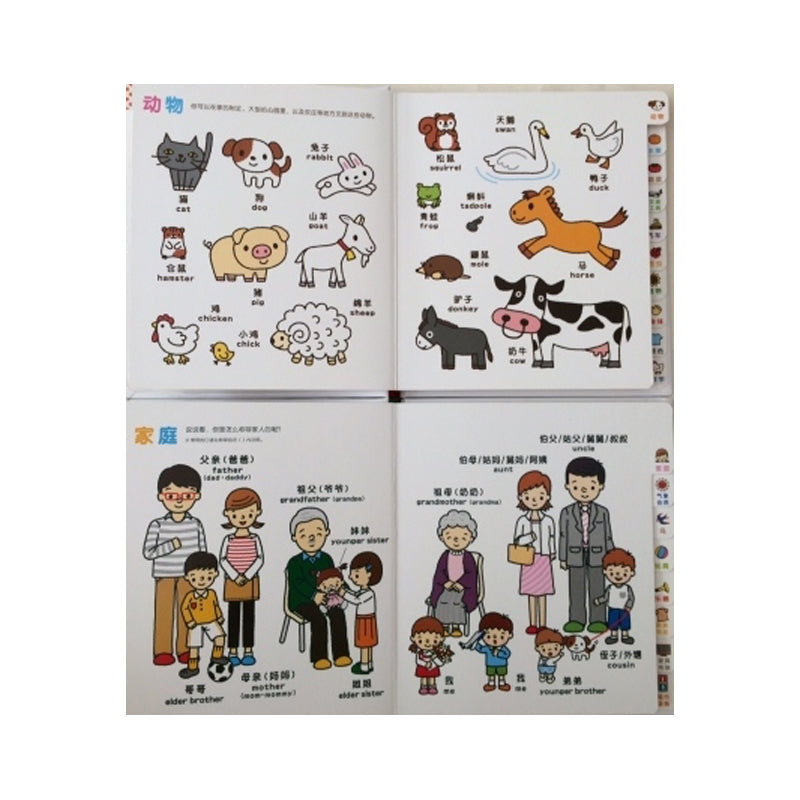 Children’s bilingual picture book pages showing animals and family members with Chinese characters, pinyin, and English. Animals include cat, dog, horse, and duck. Family section includes parents, grandparents, siblings, and cousins with illustrations.