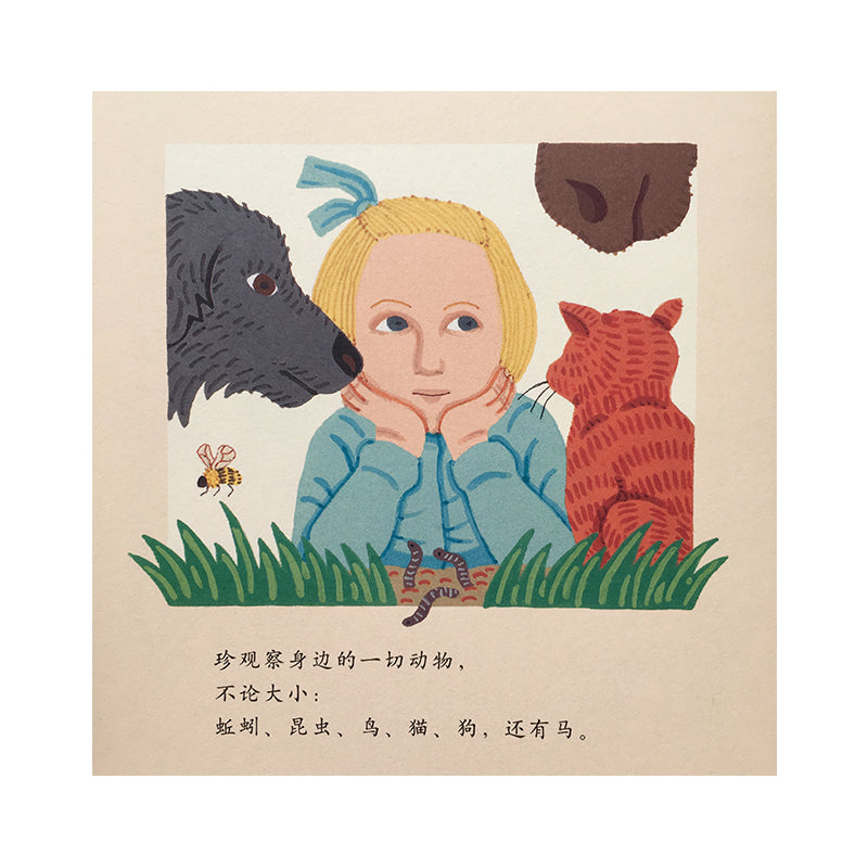 观察者 by Flip for Joy — image 2
