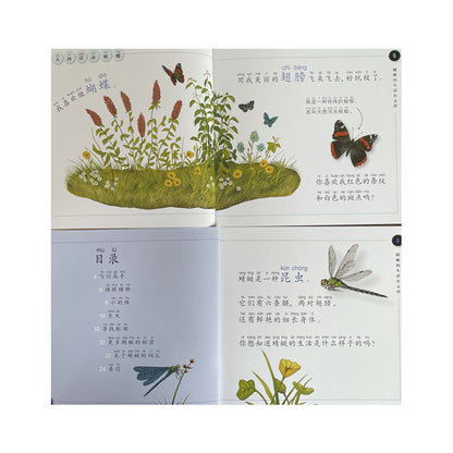An illustrated children’s book page in Chinese showing butterflies and dragonflies in a meadow. Text with pinyin describes the insects and their wings. Bottom left includes a table of contents with a dragonfly illustration.