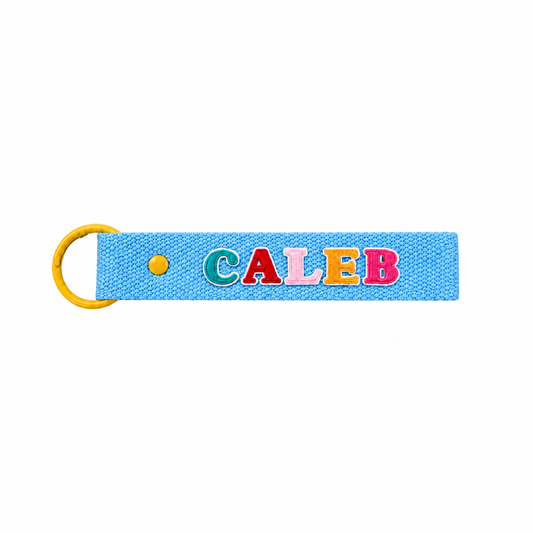LPS Bag Tag - Blue/Yellow