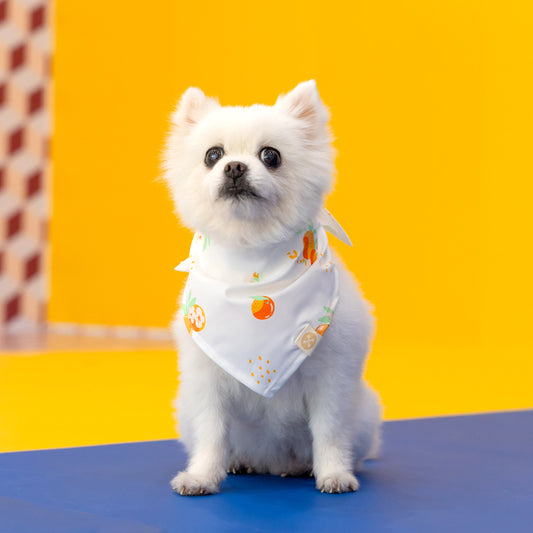 Mandarin Orange Series - Pet Bandana in White by Le Petit Society