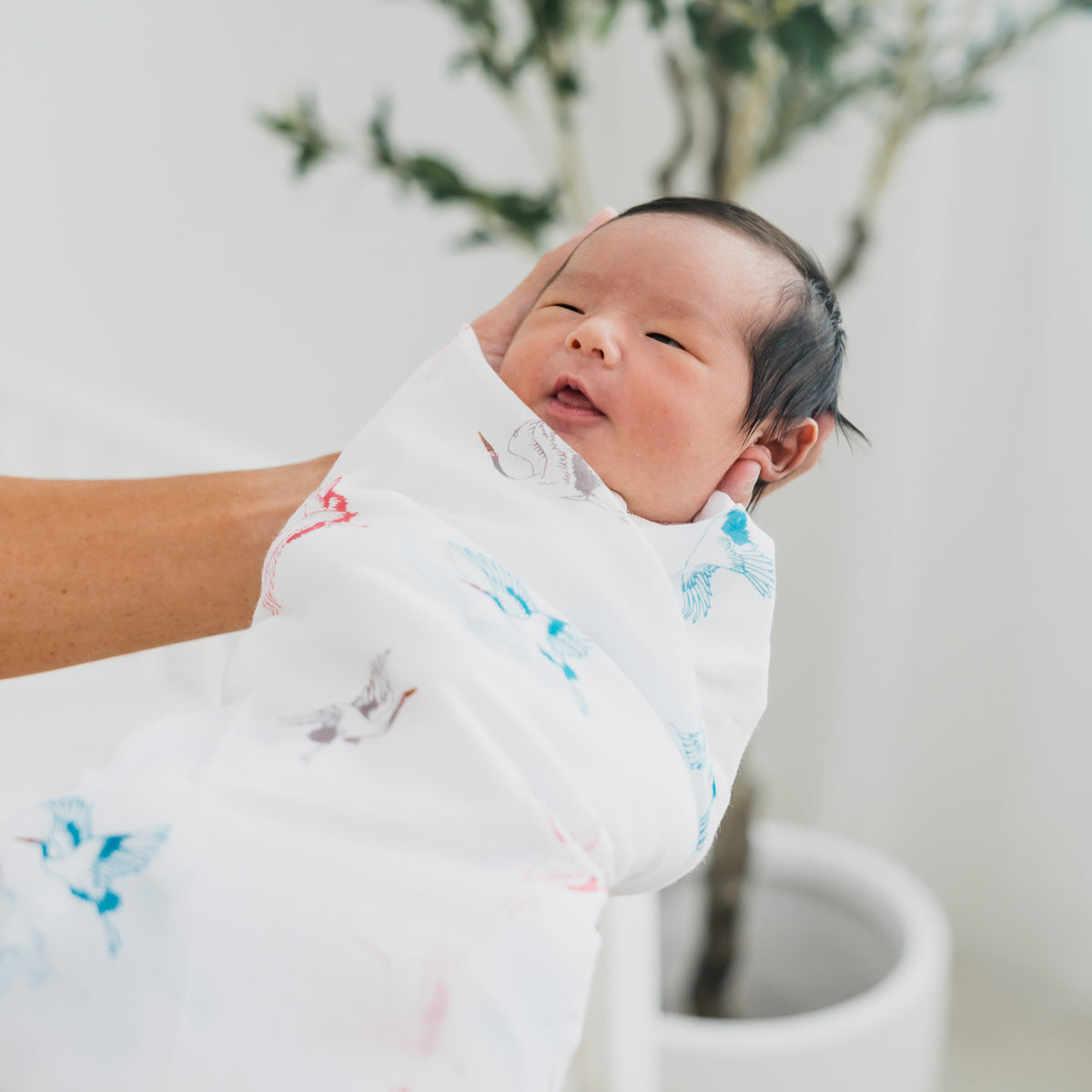 Baby Organic Swaddle in Cranes by Le Petit Society — image 4