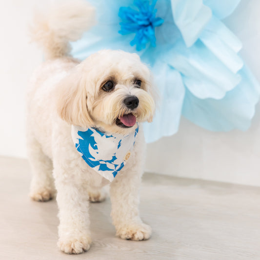 Garden Series - Pet Bandana in Blue Floral (Personalisable) by Le Petit Society