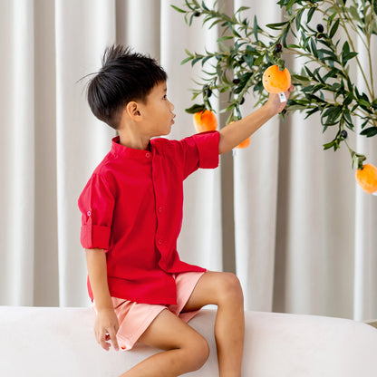 Dragon Series - Boys Long Sleeves Shirt in Red by Le Petit Society — image 11