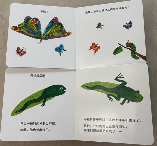Eric Carle 奇妙成长系列 by Flip for Joy — image 2