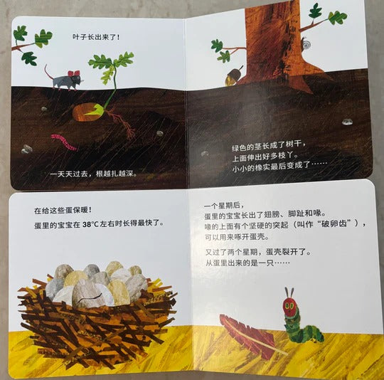 Eric Carle 奇妙成长系列 by Flip for Joy — image 3