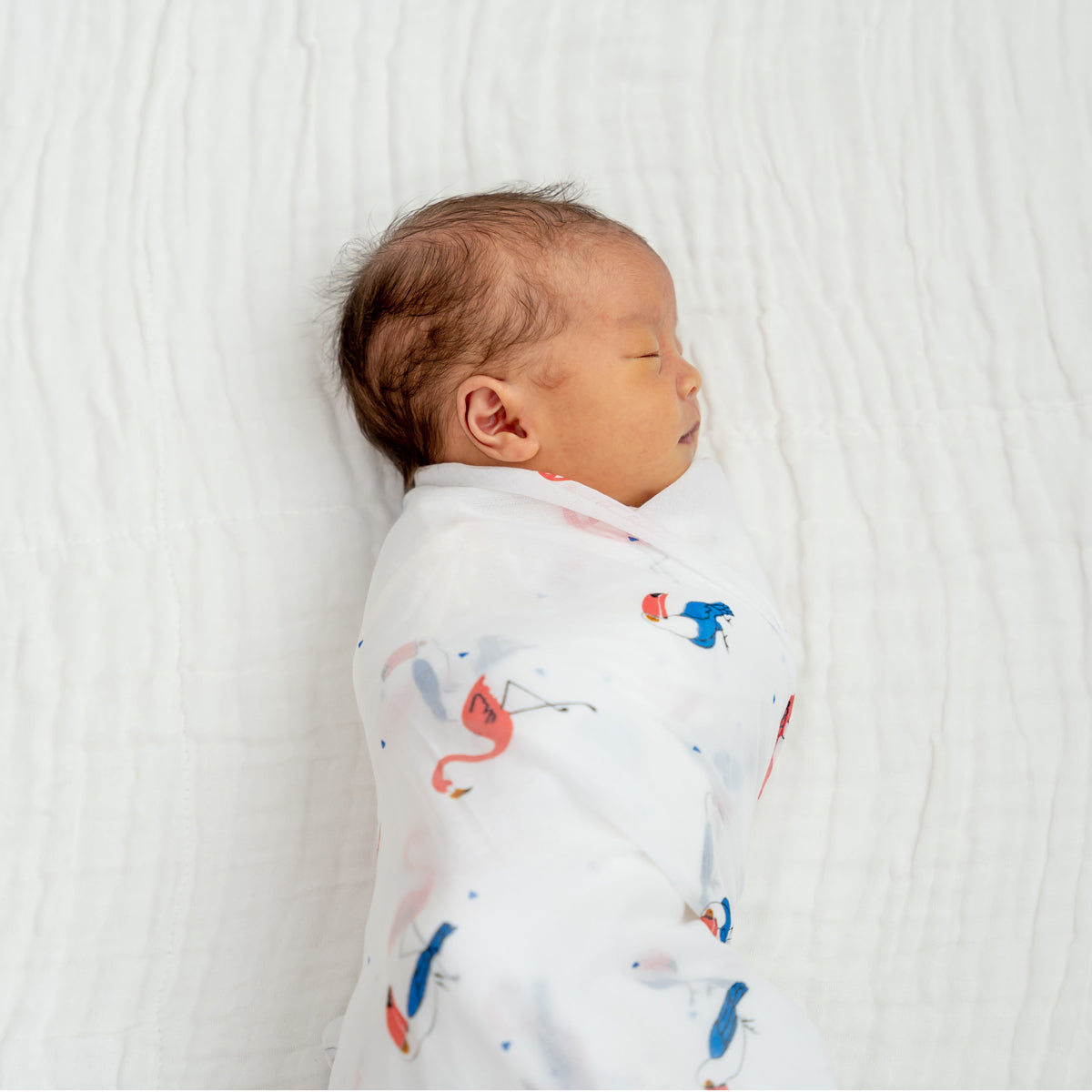Baby Organic Swaddle in Flamingo & Toucan by Le Petit Society