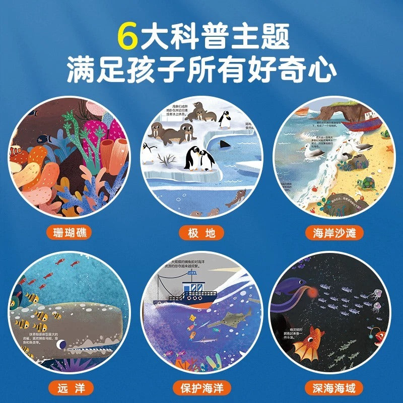 Educational children’s infographic featuring 6 marine science themes: Coral Reefs, Polar Regions, Coastal Beaches, Open Ocean, Ocean Conservation, and Deep Sea. Colorful illustrations designed to spark curiosity and enhance early learning.