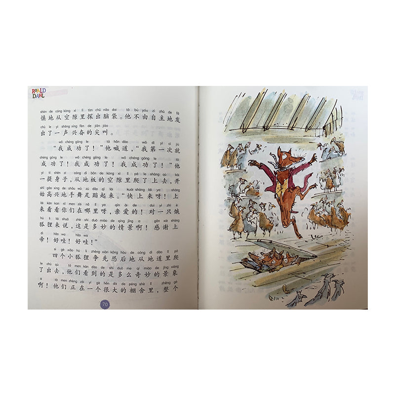 罗尔德。达尔作品典藏彩图拼音版（5册) by Flip for Joy — image 2