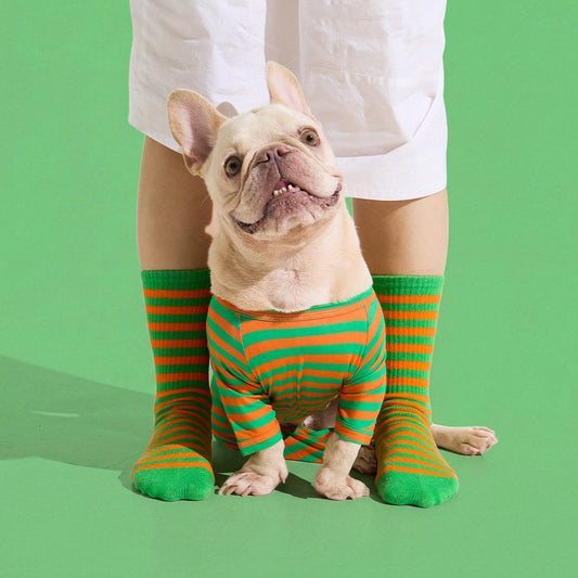 Crew Socks in Carrot by Selenight Co x Pat Law