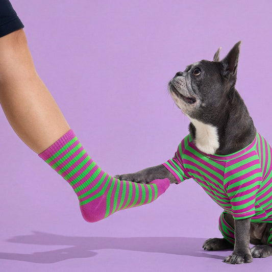 Crew Socks in Eggplant by Selenight Co x Pat Law
