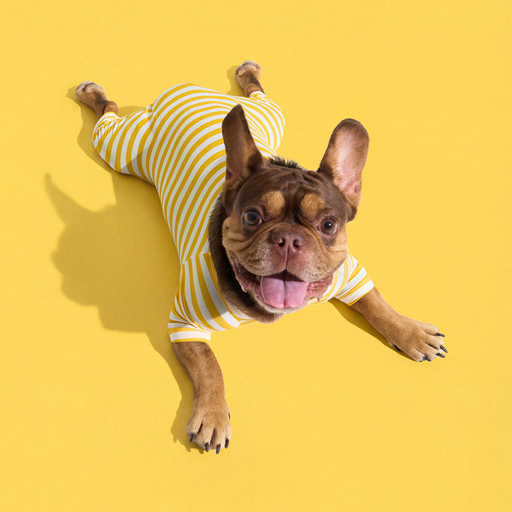 Dog Onesie in Banana by Selenight Co x Pat Law — image 6