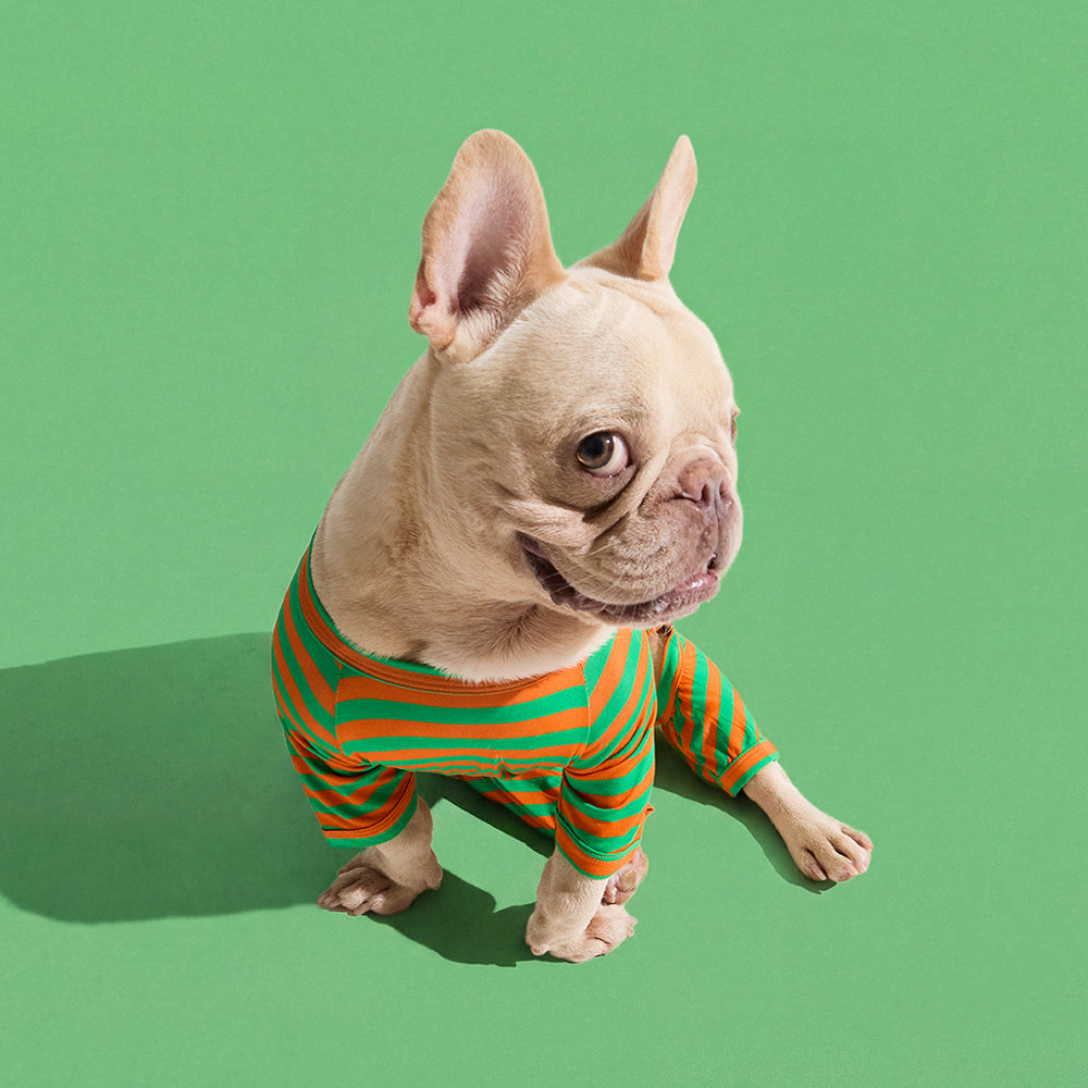 Dog Onesie in Carrot by Selenight Co x Pat Law — image 8