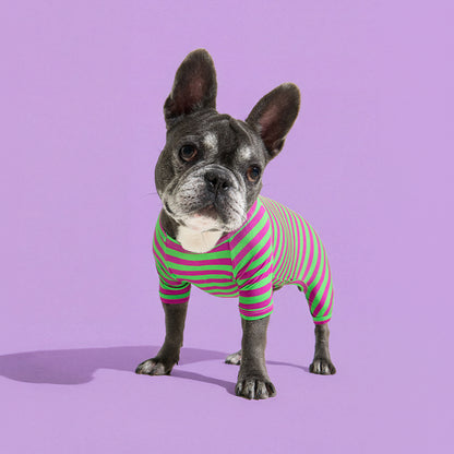 Dog Onesie in Eggplant by Selenight Co x Pat Law — image 4
