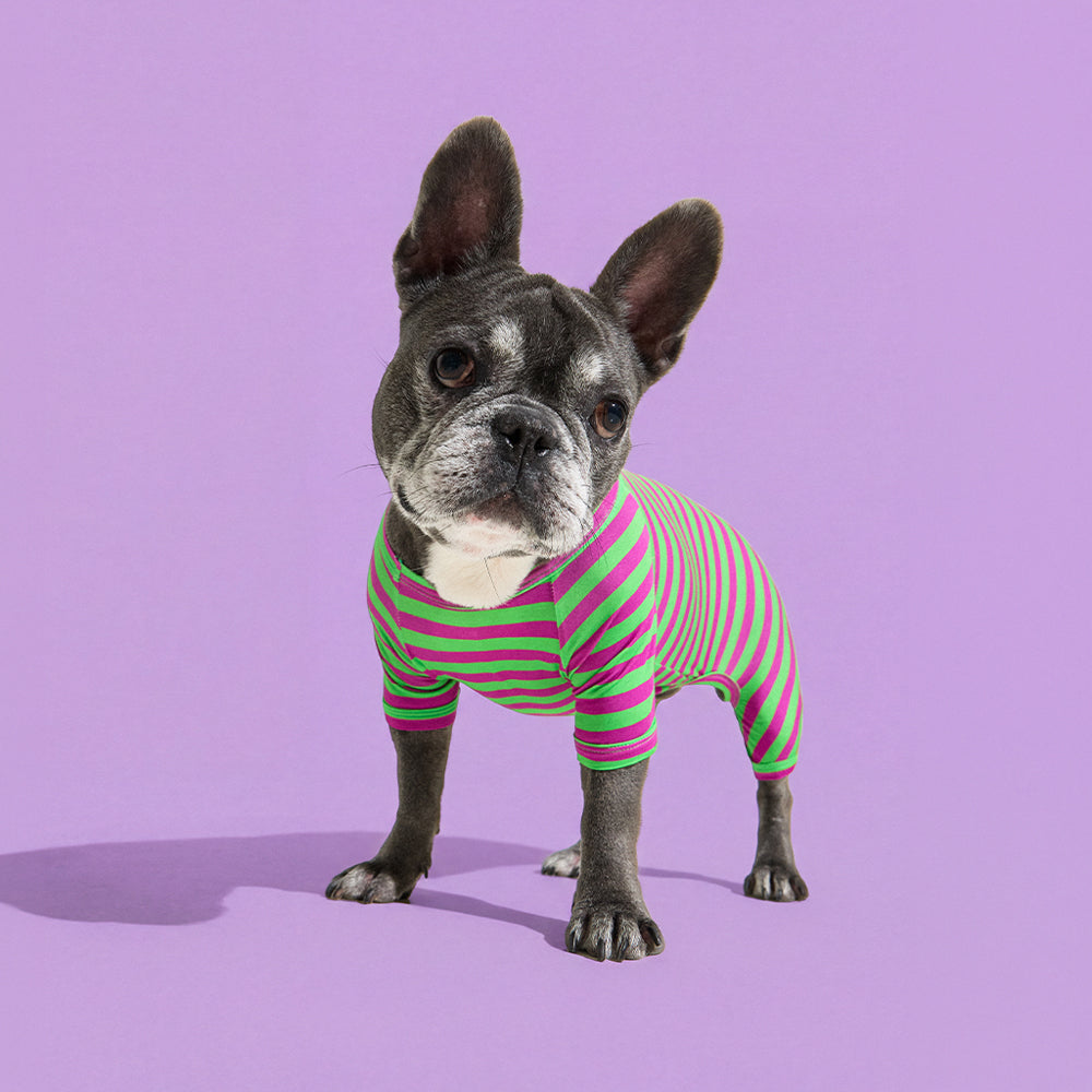 Dog Onesie in Eggplant by Selenight Co x Pat Law — image 7