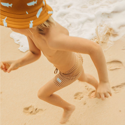 Swim Trunks in Brown Stripes by Le Petit Society