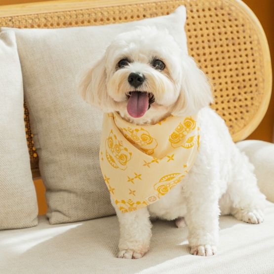 Lion Dance Series - Pet Bandana in Yellow