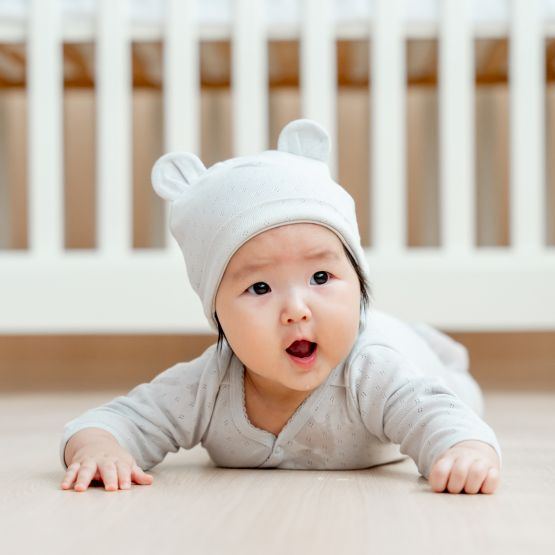 Organic Baby Bear Hat in Grey