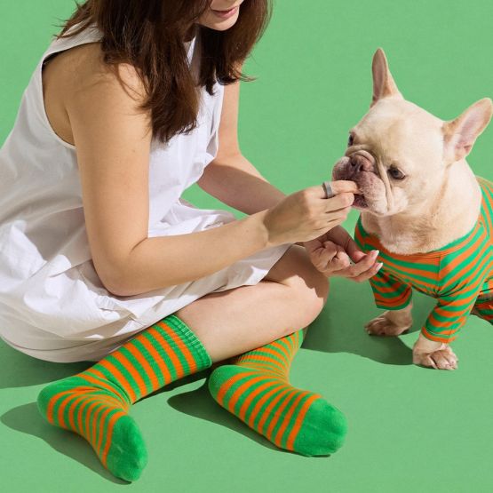 Crew Socks in Carrot by Selenight Co x Pat Law