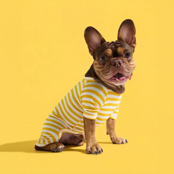 Dog Onesie in Banana by Selenight Co x Pat Law