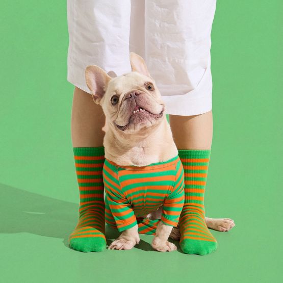 Dog Onesie in Carrot by Selenight Co x Pat Law