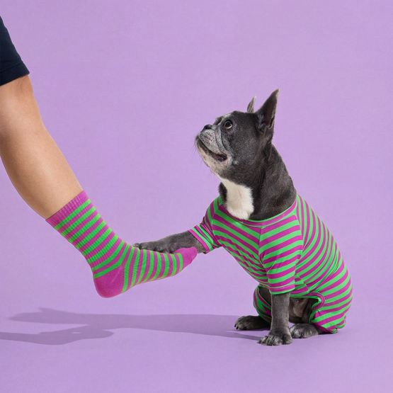 Dog Onesie in Eggplant by Selenight Co x Pat Law