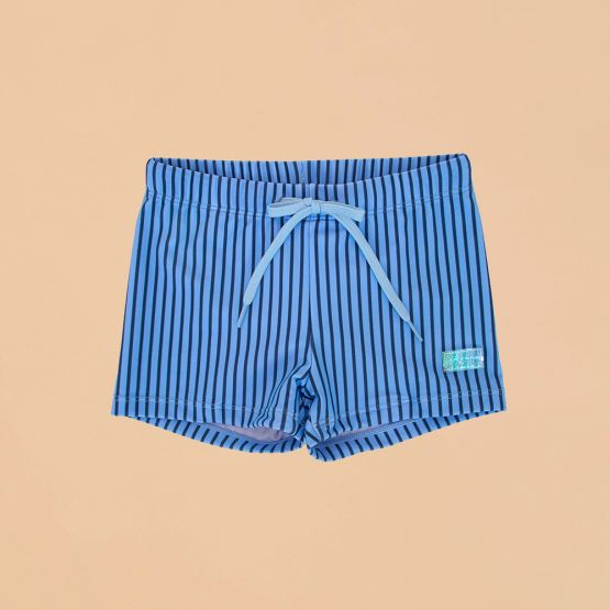 Swim Trunks in Blue Stripes