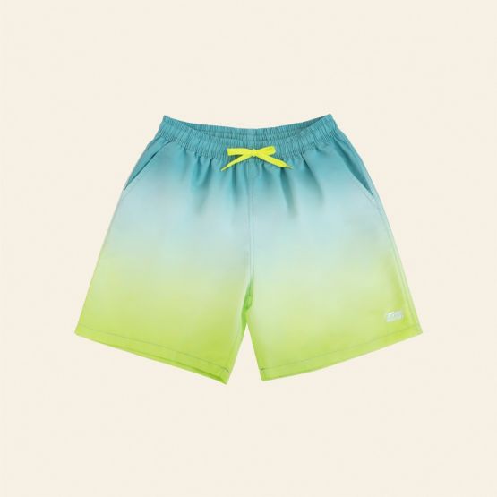 Swim Shorts in Lime Gradient (Adult)
