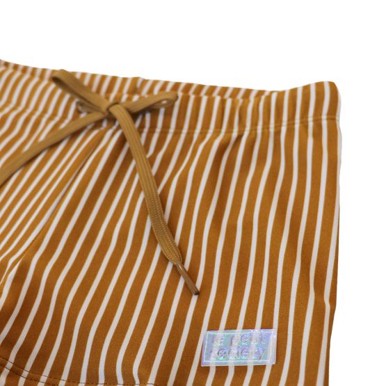 Swim Trunks in Brown Stripes